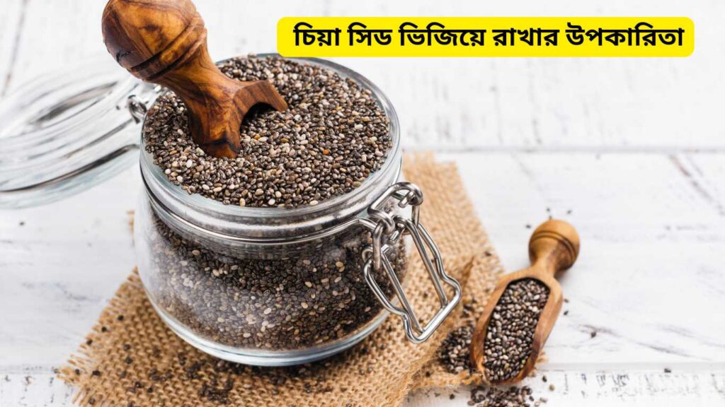 চিয়া সিড: কতক্ষণ ভিজিয়ে রাখলে সবচেয়ে বেশি উপকার হয়?