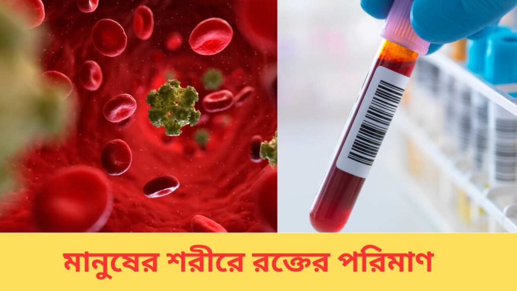 একজন মানুষের শরীরে রক্তের পরিমাণ কত?