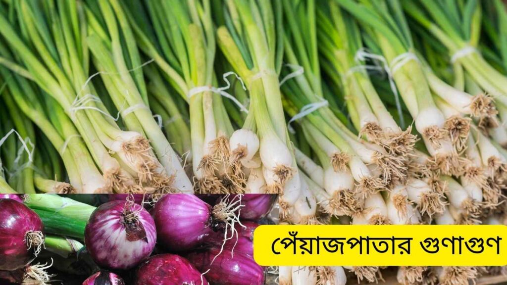 পেঁয়াজ পাতার ৯ টি উপকারিতা কি জানতেন